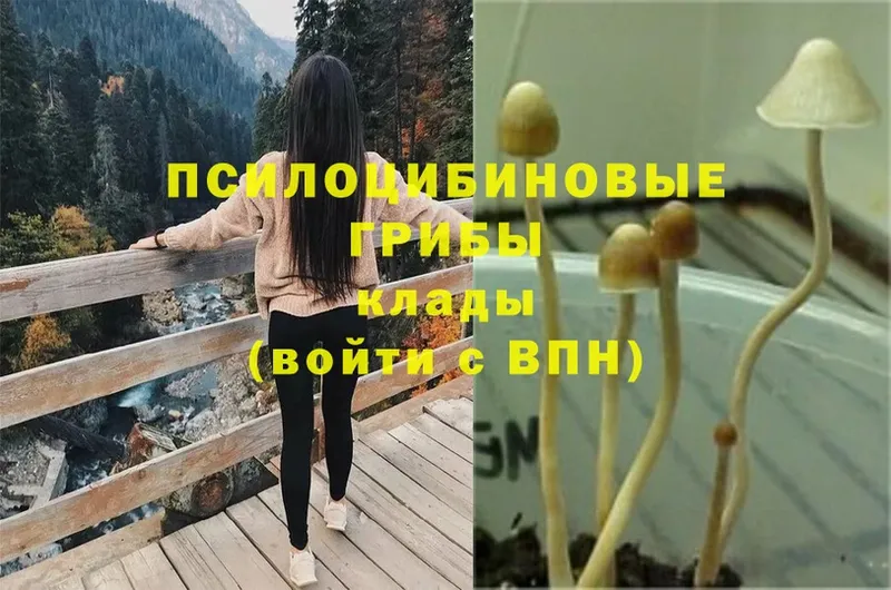 Псилоцибиновые грибы MAGIC MUSHROOMS  Гороховец 